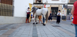 holiday in spain: cordoba