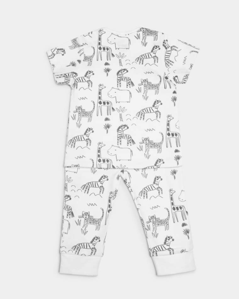 safari pjs